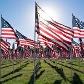 Memorial Day Flags