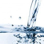 water quality report