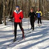 XC Skiers