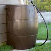 rain-barrel