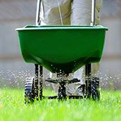 Lawn_Fertilizing