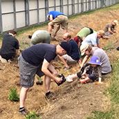 Rain Garden maintenance