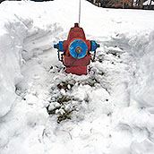 Shoveled Hydrant