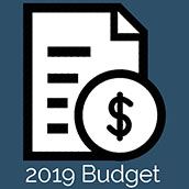 Budget Icon