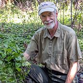 Garlic Mustard Pulling 