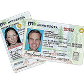 mn-real-ids