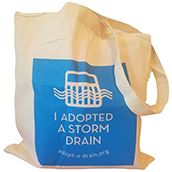 Adopt-A-Drain bag