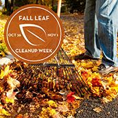 Leaf Cleanup Week