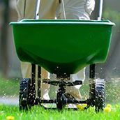 Lawn Fertilizing