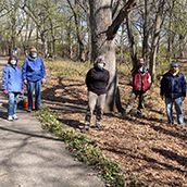 Garlic Mustard Pulling