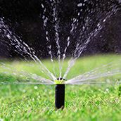 Lawn Sprinkler Head
