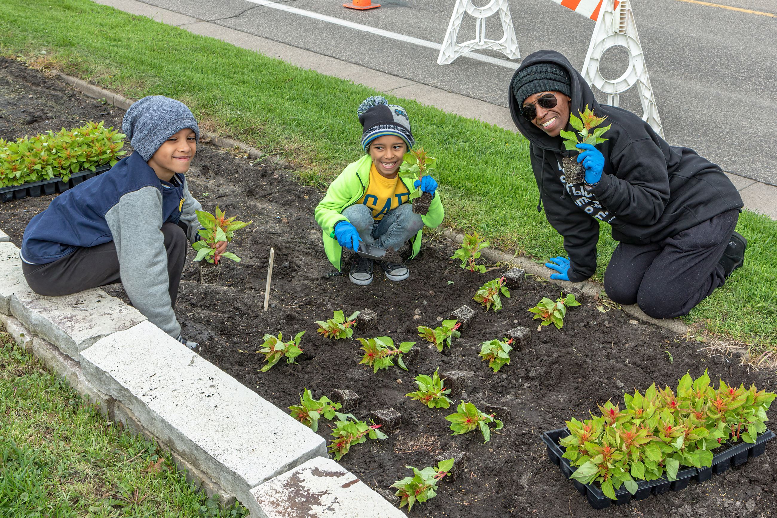 three volunteers pose for photo while planting red and green flowers along Lexington Avenue in Rosev
