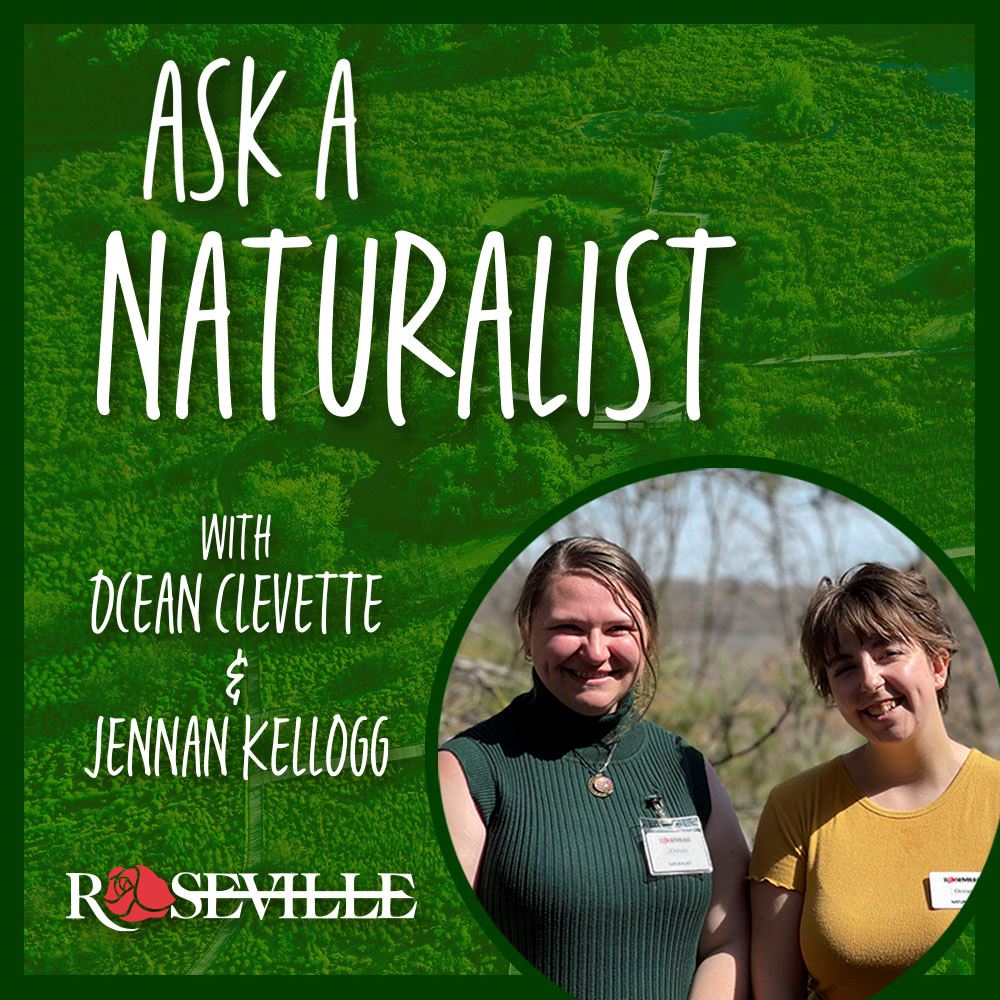 Ask A Naturalist
