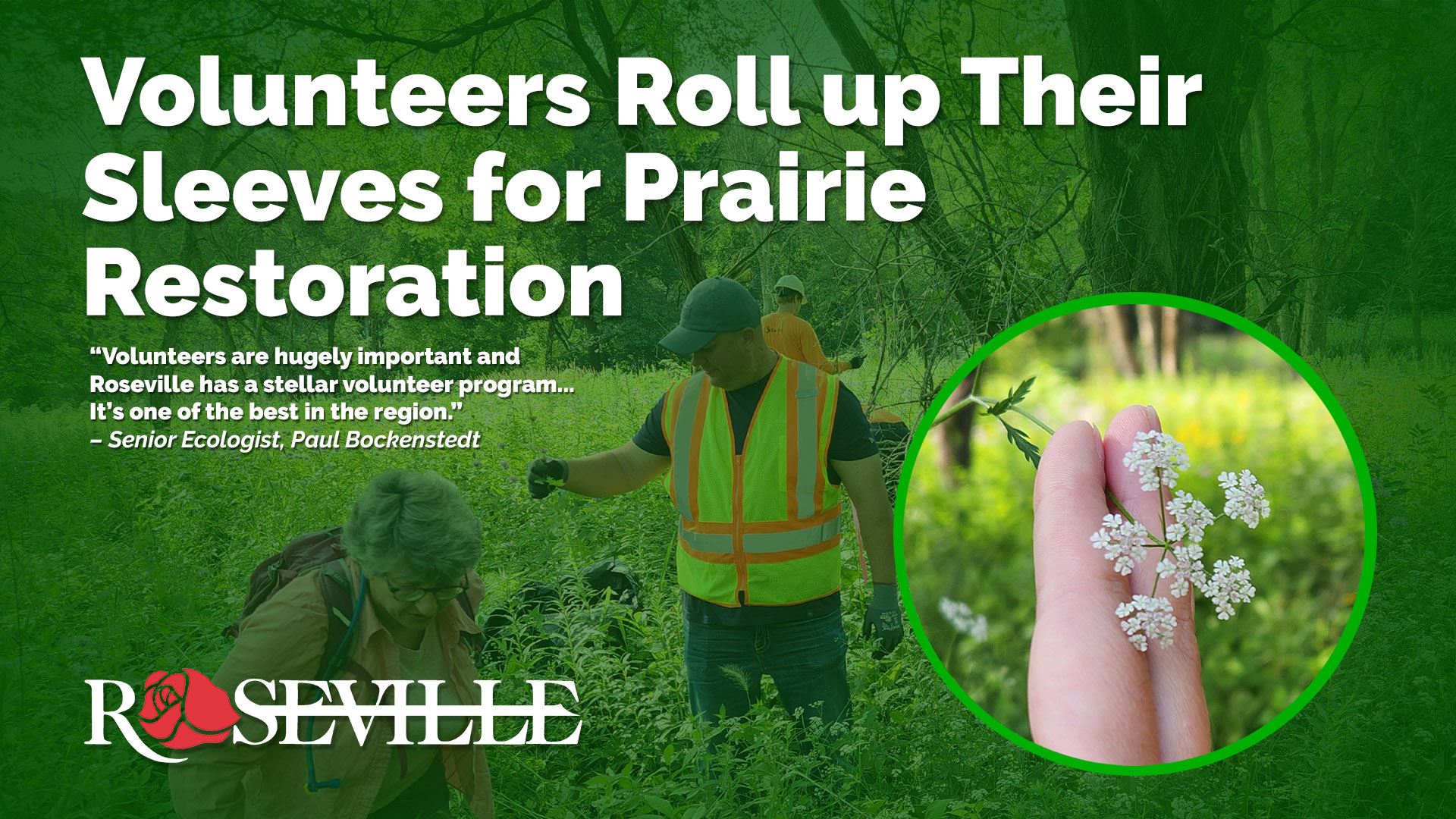Volunteers Roll up Their Sleeves for Prairie  Restoration