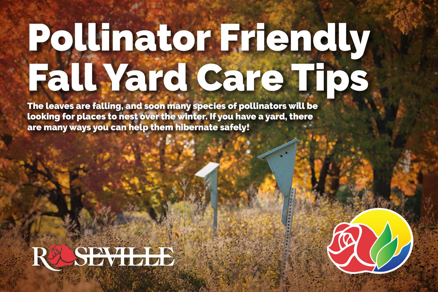 Pollinator Friendly Fall Yard Care Tips