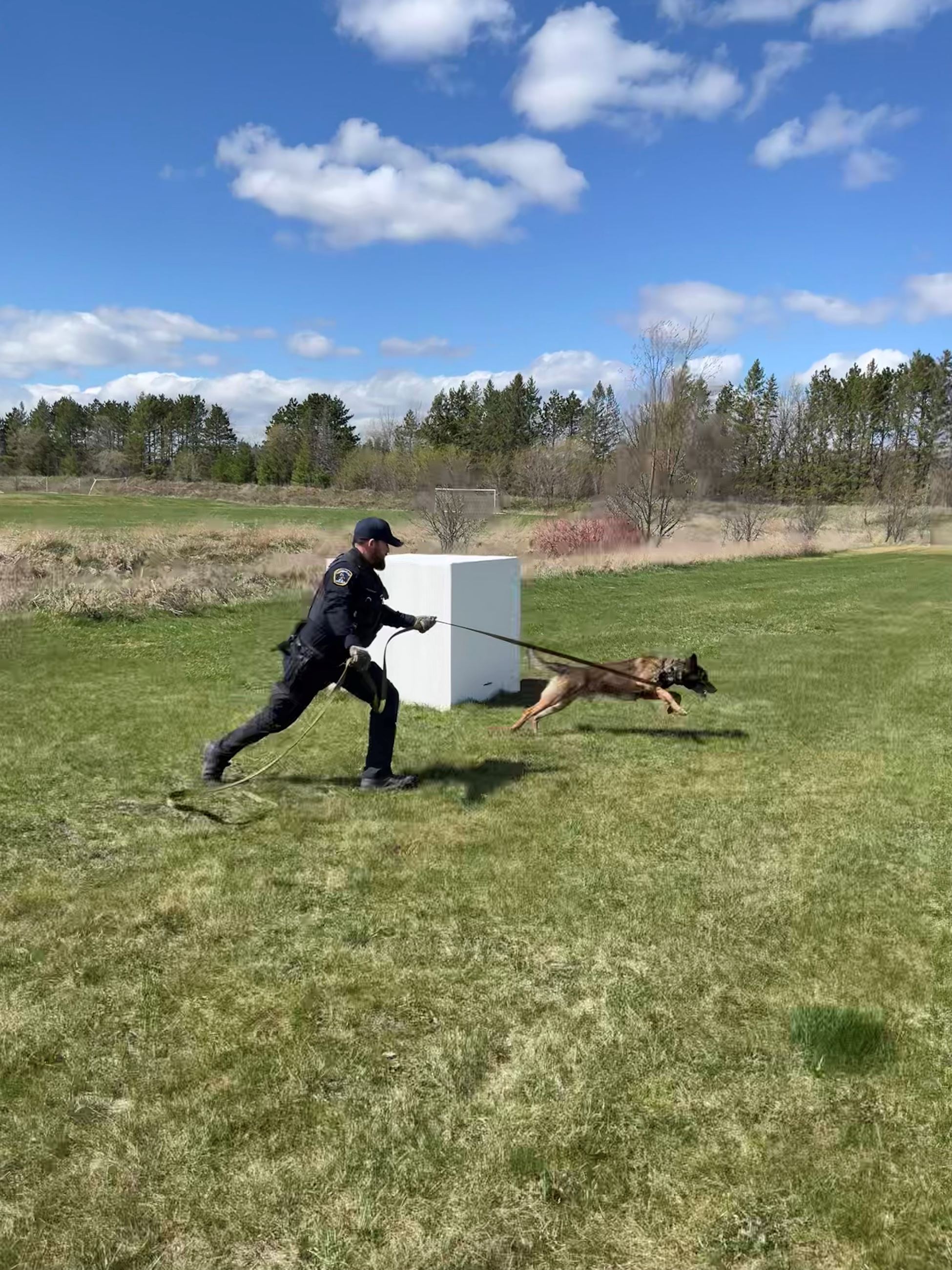 Photo Apr 18 2024, 14 43 47