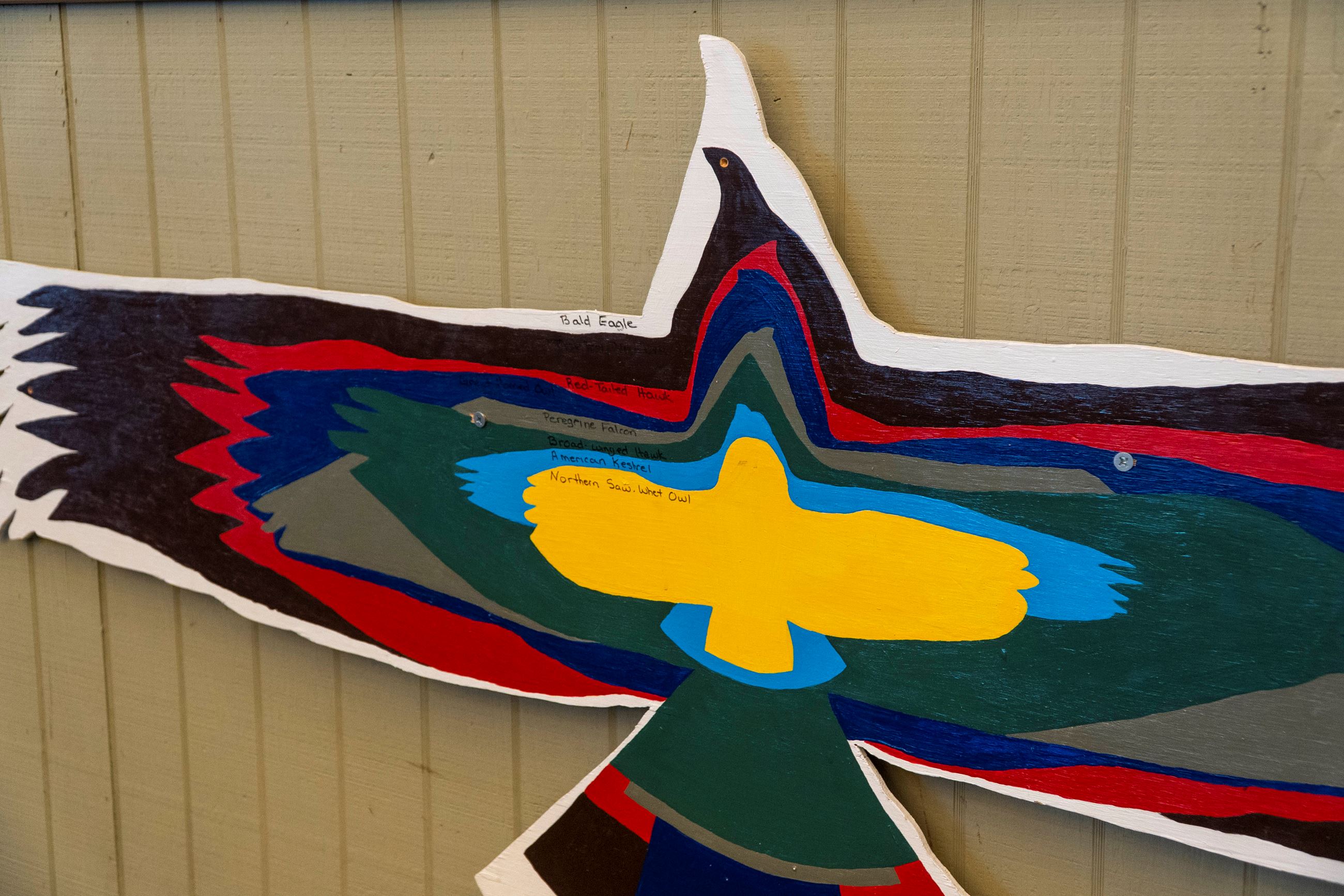 A wood cutout shows the sizes of largest birds of prey.