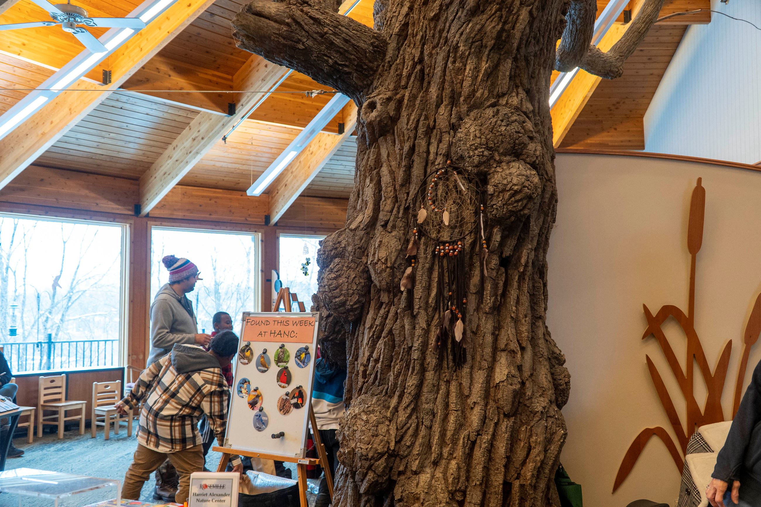 A dreamcatcher is attached to the large tree in the middle of Harriet Alexander Nature Center.