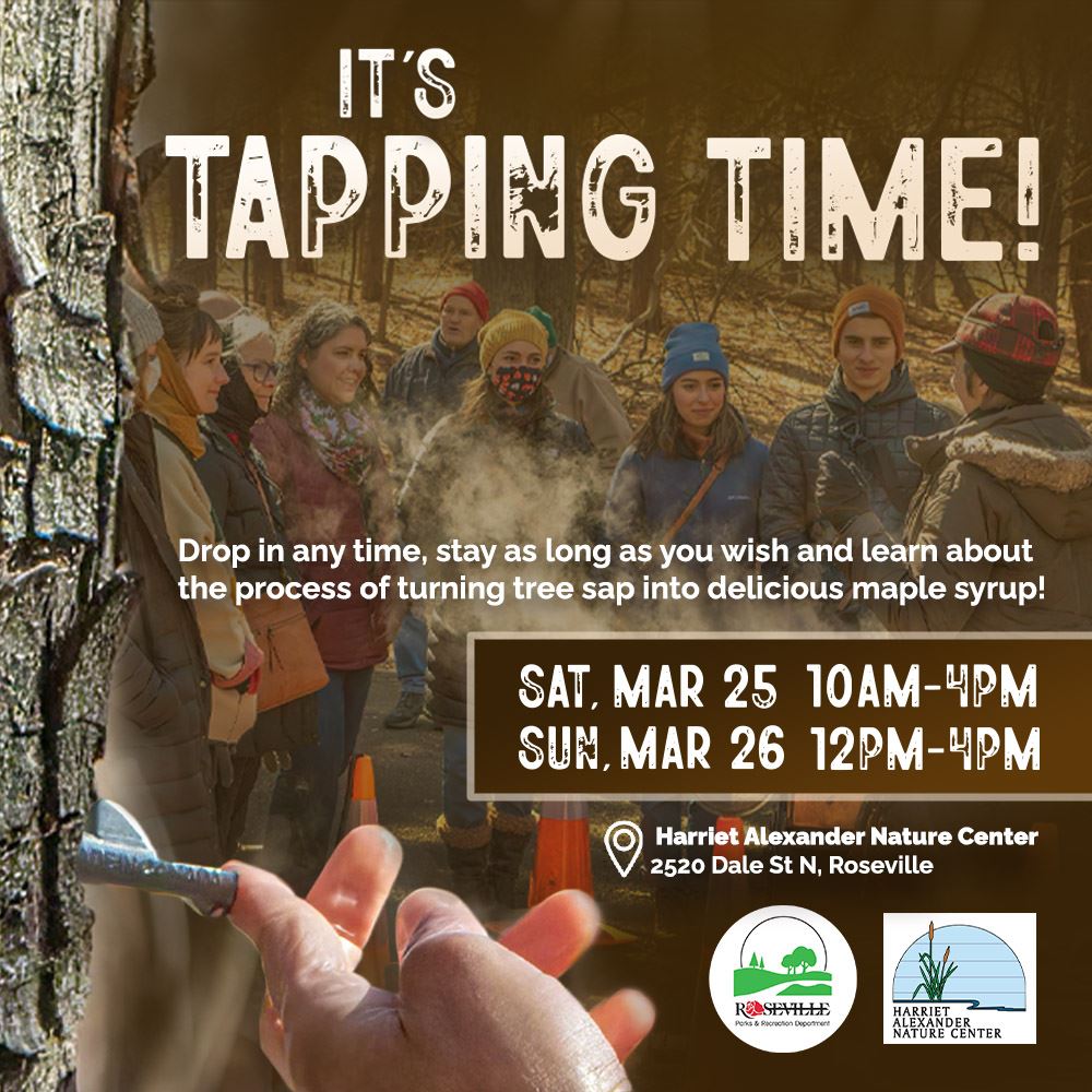 It's Tapping Time at Harriet Alexander Nature Center graphic.