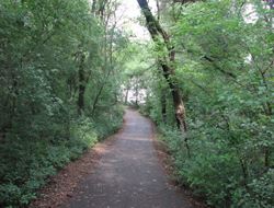 A photograph of Materion Park