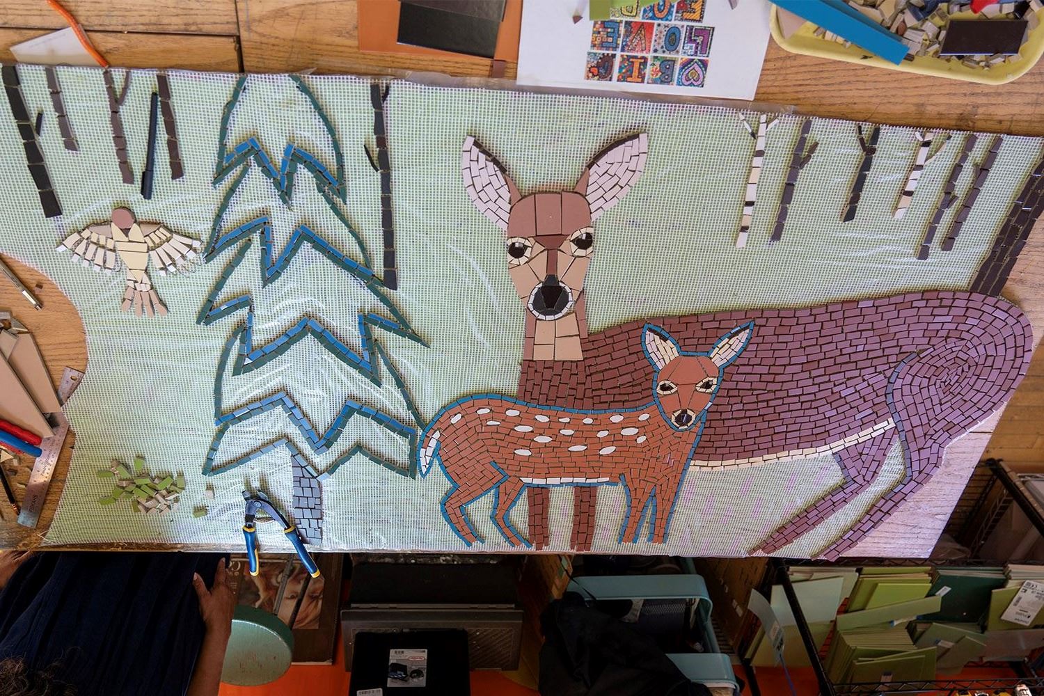 Mosaic Artist Lori Greene's start on the Harriet Alexander mosaic art installations at HANC.