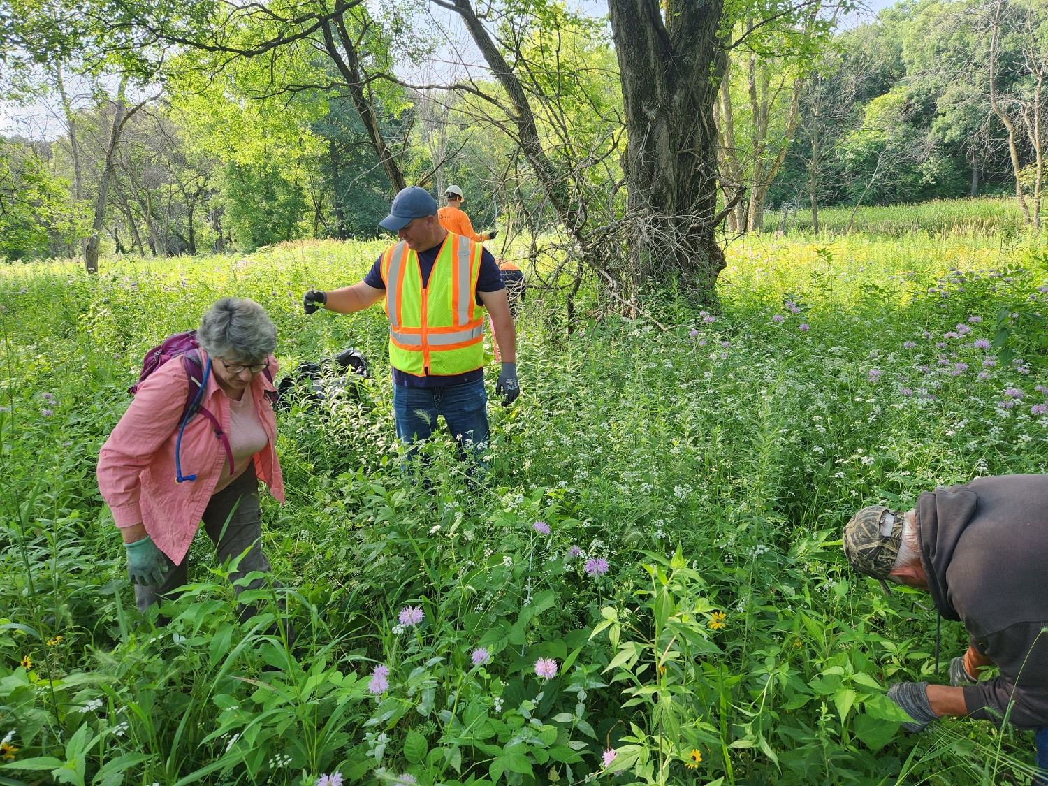 Roseville volunteers and staff work on a prairie restoration project at Reservoir Woods.