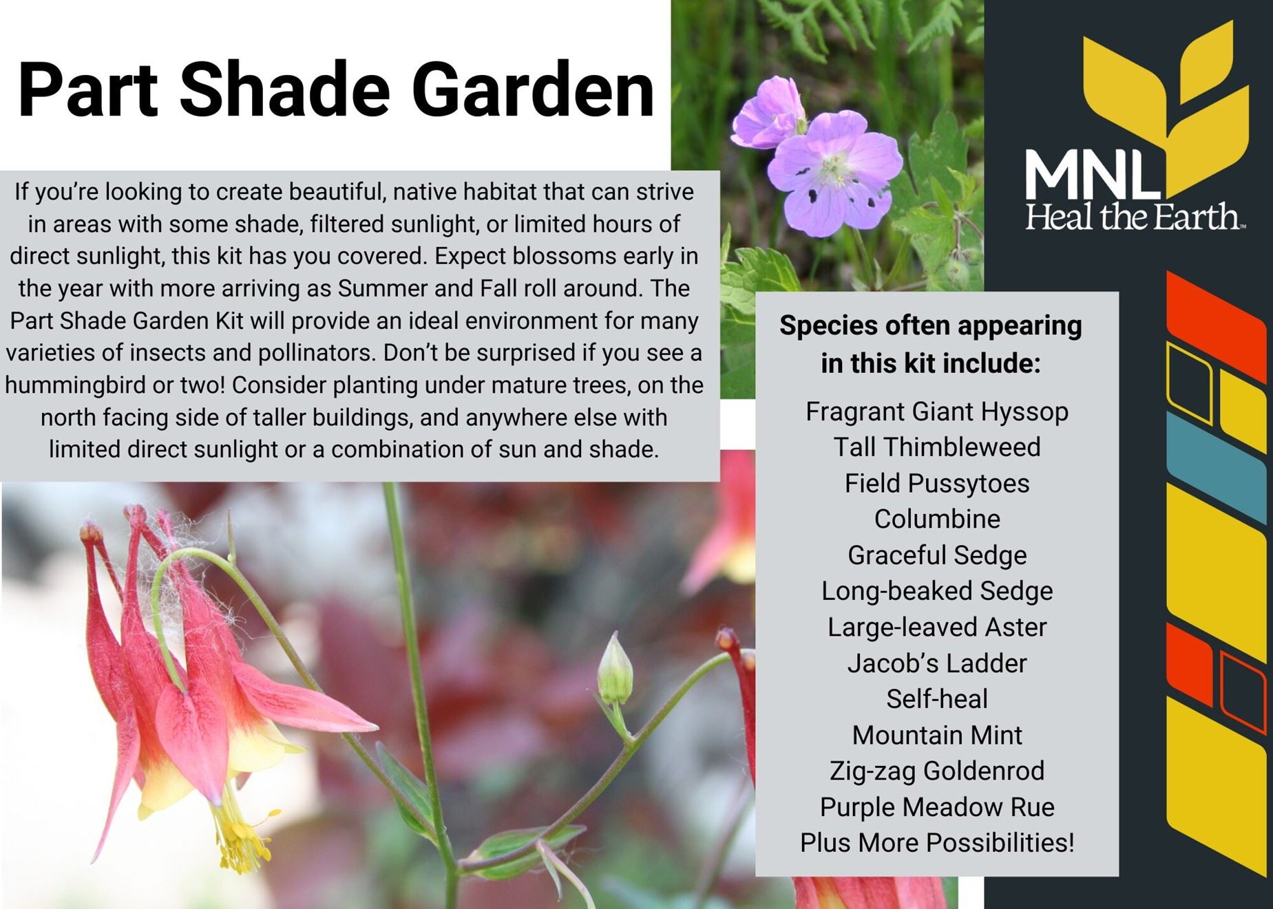 Part Shade Garden