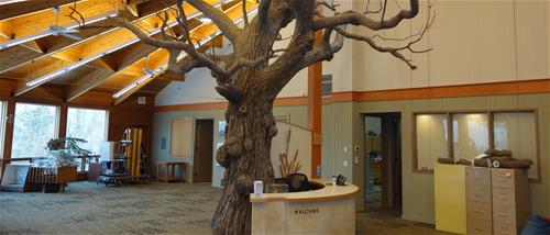 The finished tree and welcome desk