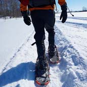 snowshoeing.jpg